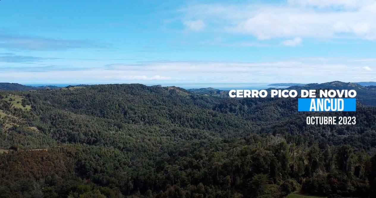 TURISMO PANGUE