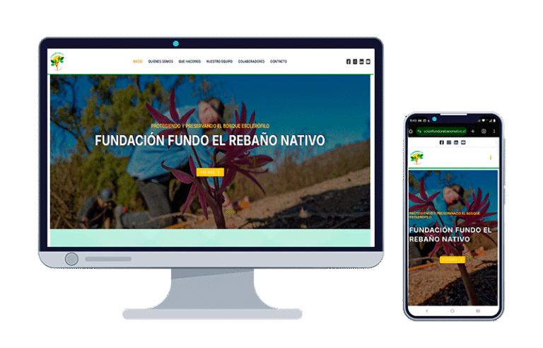 diseño web fundacion fundo el rebano
